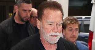 Arnold Schwarzenegger blames 'careless' cyclist for their crash