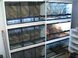 Exo Terra Rack Wall Reptile Room Reptile Terrarium Reptile Rack
