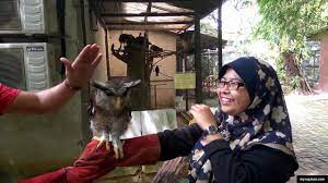 Kawasan ini seluas 5 ekar. Penang Bird Park Perai Destimap Destinations On Map