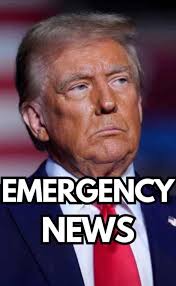 President Trump Appreciation Post