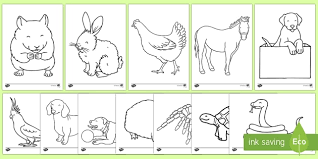 Old dog is highly respected by pets. Free Pets Coloring Sheets Teacher Made