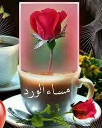 مساء الخير والسعادة إقرأ مساء الخير والسعادة ومساء النور والسعادة ومساء الخير والسعادة والعافية