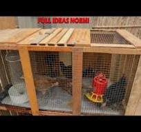 COMO HACER JAULA PARA POLLOS - Como hacer gallinero para gallinas - chicken  coop ideas