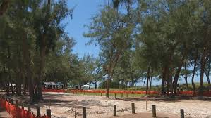 Today's weather in coquina beach. Standoff Between County City Over Coquina Beach Trees