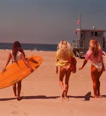 Calling All Beach Bums Vintage Surf Surfing Beach Aesthetic
