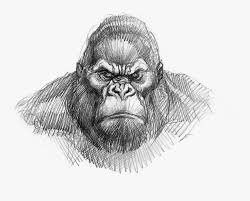 King Kong Drawing Easy Png Download King Kong Gorilla Face Drawing Transparent Png Transparent Png Image Pngitem 443 x 600 jpeg 43 кб. king kong drawing easy png download