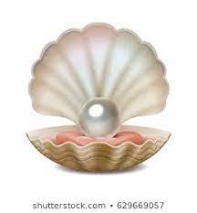 Open Sea Shell Stock Illustrations Images Vectors Shutterstock Shell Drawing Shell Art Sea Shells