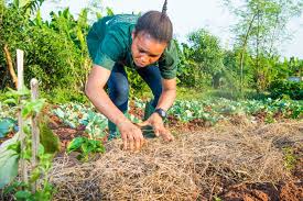 Cpetaki College Prive D Enseignement Technique Agricole Koberside International