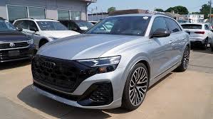 Image result for Satellite Silver 2025 RS