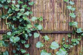 An heißen sommernächten kann man die matratze einfach mal nach draußen verlegen und das sind so tolle ideen. Sichtschutz Fur Den Balkon Selber Machen So Geht S