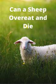 Pin On Farm Animal Report