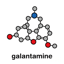 Image result for Galantamine