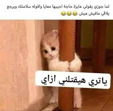 pin by jana on funny images funny relatable memes funny images funny arabic quotes