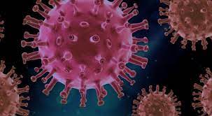 A cepa indiana tem mais de uma variação. Saiba O Que E A Cepa Indiana Do Coronavirus Diagnosticada No Maranhao