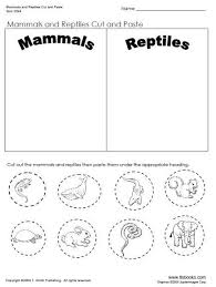 Pin On Unit Ideas Mammals