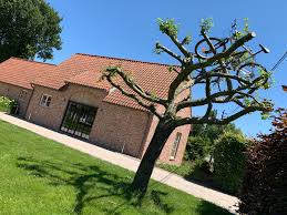 Deze zomer kan voor veel mensen weleens de perfecte zomer worden. Pop Up Zomer Fiets Stop In Aalter Summerbars Com