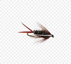 Emergers Artificial Fly Nymph Insect Fly Fishing Png