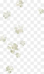 Floating Flowers Pretty Flowers White Flowers Flowers Floating Pretty White Pretty Clipart White Clipart White Flower Png Flower Png Images Flower Backgrounds