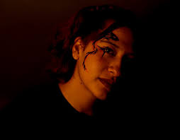 Domadora Projects :: Photos, videos, logos, illustrations and branding ::  Behance