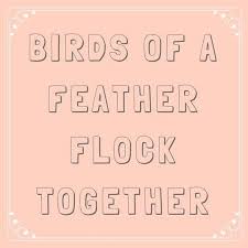 Proverb Birds Of The Same Feather Flock Together 63 Sayings You Learned From Your Southern Grandma With Images Southern Sayings Southern Phrases Old Quotes