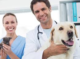 Our hospital is fully equipped with state of the art equipment and experienced vets to provide efficient intensive and critical care for your pet. 24 7 Emergency Surgery Pet Cape Coral Fl Animal Er Of Sw Fl