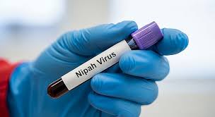 Nipah virus after new cases in India