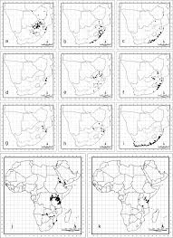 Image result for Habenaria tentaculigera