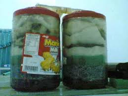 Selain melestarikan alam juga sekaligus mendapatkan penghasilan. Cara Membuat Sirkulasi Kolam Ikan Alami Filter Air