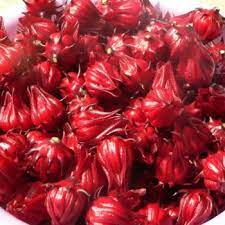 We did not find results for: Where Can I Buy Fresh Hibiscus Flowers