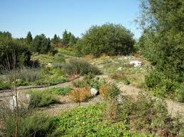 Check spelling or type a new query. Neuer Botanischer Garten Marburg