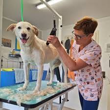 Hundefriseur Siegen