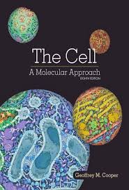 Calculus 2 Stewart 8th Edition Pdf The Cell A Molecular Approach 8th Edition Pdf Download In 2020 The Cell Teaching Cells Biology Cell Biology