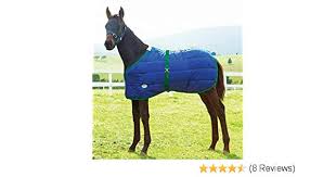 Weatherbeeta Newborn Foal Blanket