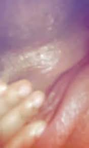 سعوديه باربي مع فحل اسود يروضها