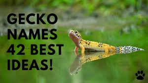 Maybe you would like to learn more about one of these? Gecko Names 42 Best Ideas Great List Names Youtube