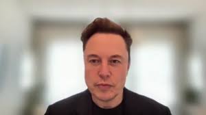 Elon Musk asegura que revertirá la decisión de Twitter de vetar a Donald  Trump - La Prensa Gráfica
