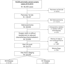 In a very small number of people with pancreatic cancer, early symptoms. Pancreatic Cancer Lymph Node Resection Revisited A Novel Calculation Of Number Of Lymph Nodes Required Journal Of The American College Of Surgeons
