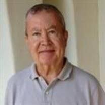 Merrill Murphy Sehulster Obituary