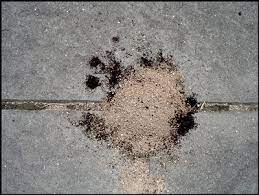 Op mentioned that caulk, even caulk designed for concrete was eventually chewed through. Getting Rid Of Ants With Coffee Grounds Garden Myths