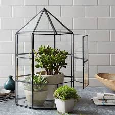 38 Exciting Diy Terrariums Design Ideas To Inspire You Glass Terrarium Terrarium Diy Geometric Terrarium