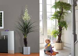 Las razones, las variedades y los cuidados. Decorar Con Plantas Decoracion De Interiores Opendeco