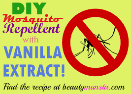 Diy Vanilla Extract Mosquito Repellent Beautymunsta Free Natural Beauty Hacks And More