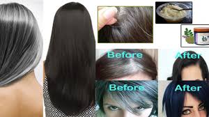 This is more like a natural this natural shampoo is a wonderful natural solution which can be used to wash your hair in order to i really get scared when my hair starts turning white. Homemade Hair Dye To Turn White Hair To Black Naturally