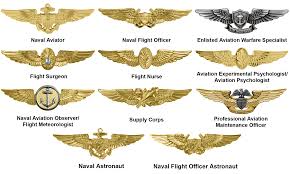 Navy Aviation Warfare Insignia Badges Of The United States