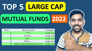 Everything You Need To Know About Investing In Large-Cap Mutual Funds