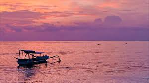 Dewi Johnson (dewijohnson19)