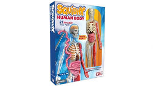 Human anatomy atlas for pc has builtin definitions and descriptions relating to every anatomical please send link hello please send link for free download visible body human anatomy atlas this site is fantastic. Buy Smartlab Toys Squishy Human Body Harvey Norman Au