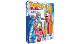 Use the model select icon above the anatomy slider on the left to load different models. Buy Smartlab Toys Squishy Human Body Harvey Norman Au
