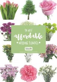 We always ensure we to get all our orders fulfilled the same working day. The Most Affordable Types Of Wedding Flowers On A Budget Affordable Wedding Flowers Inexpensive Wedding Flowers Cheap Wedding Flowers