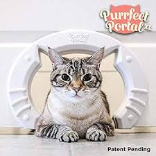 Amazon Com Purrfect Portal Xl Pet Cat Door For Interior Doors Molded Plastic Kitty Cat Pass For Large Cats Up To 30 Lbs Installs In Minutes St Accessoires